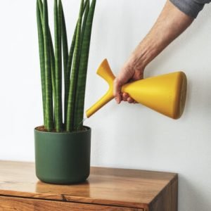 Plants Store Gallery Img 2 300x300